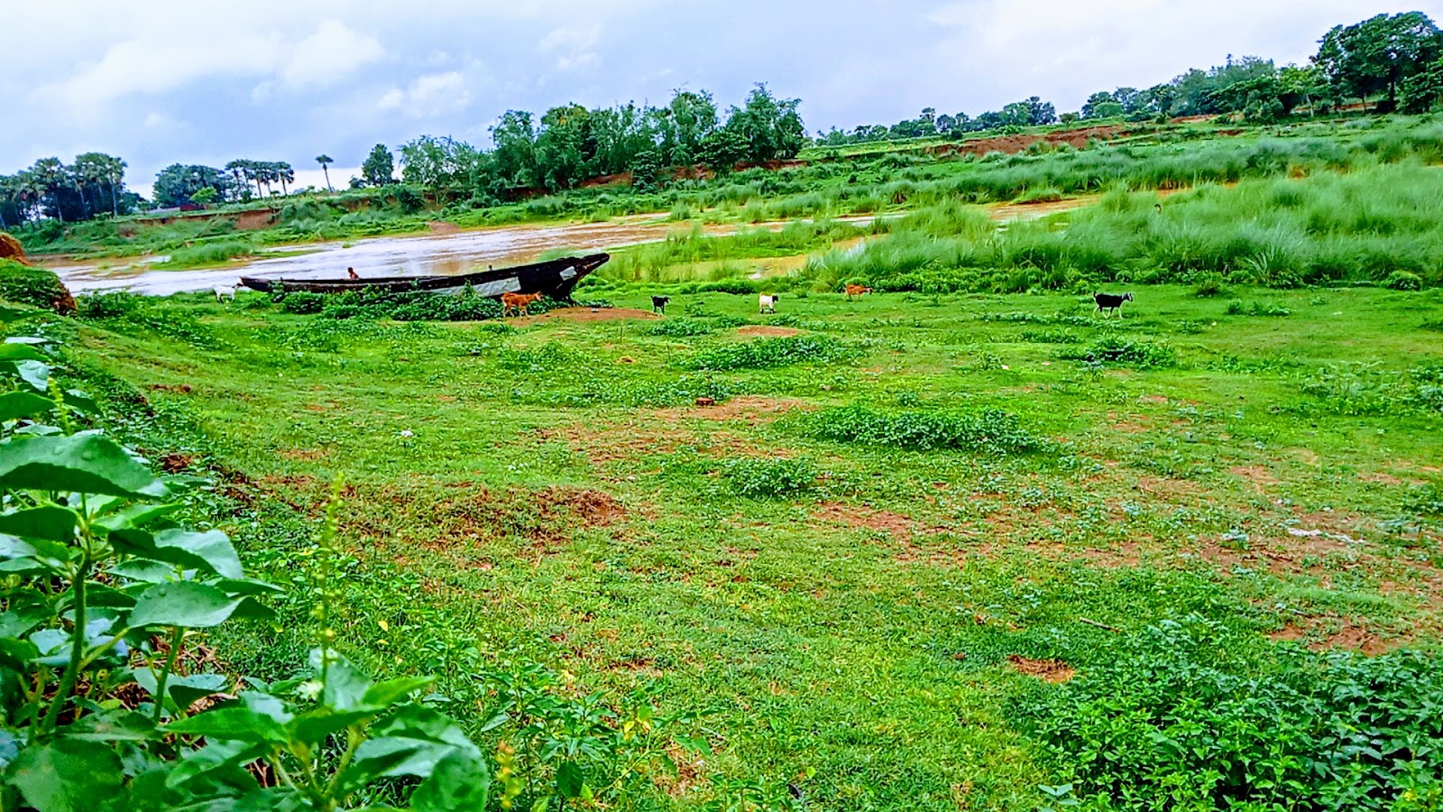 Bansloi River