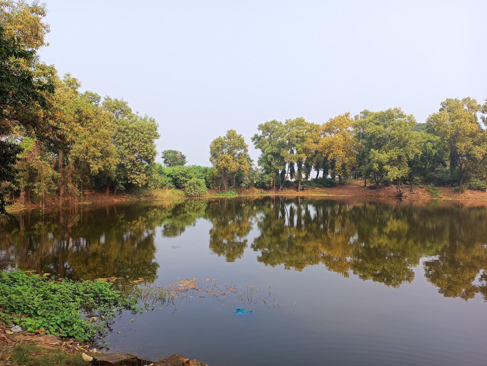 Biharinath Hill