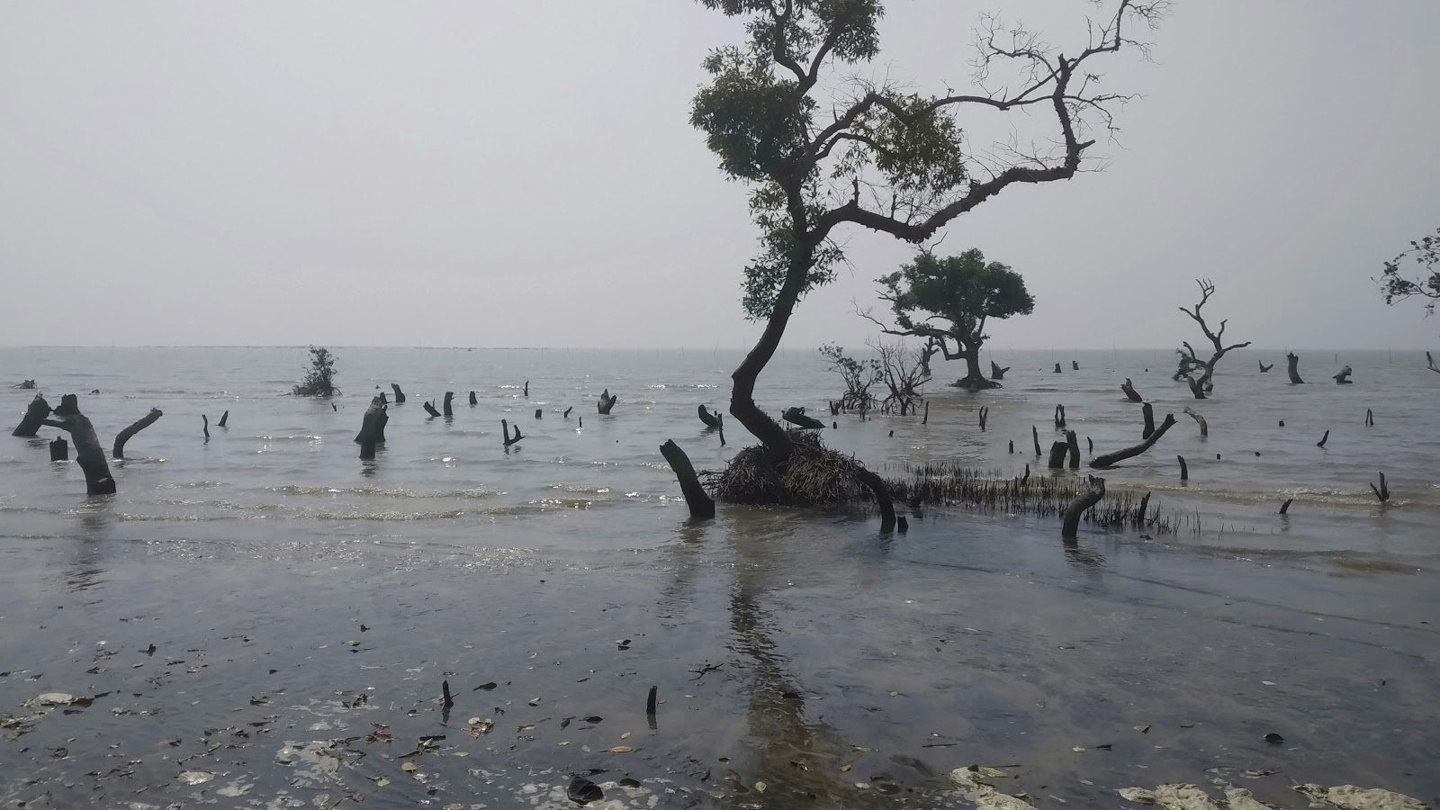Subarnarekha River Bank