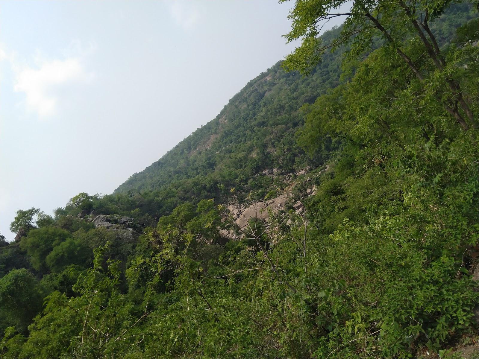 Subarnarekha River Bank