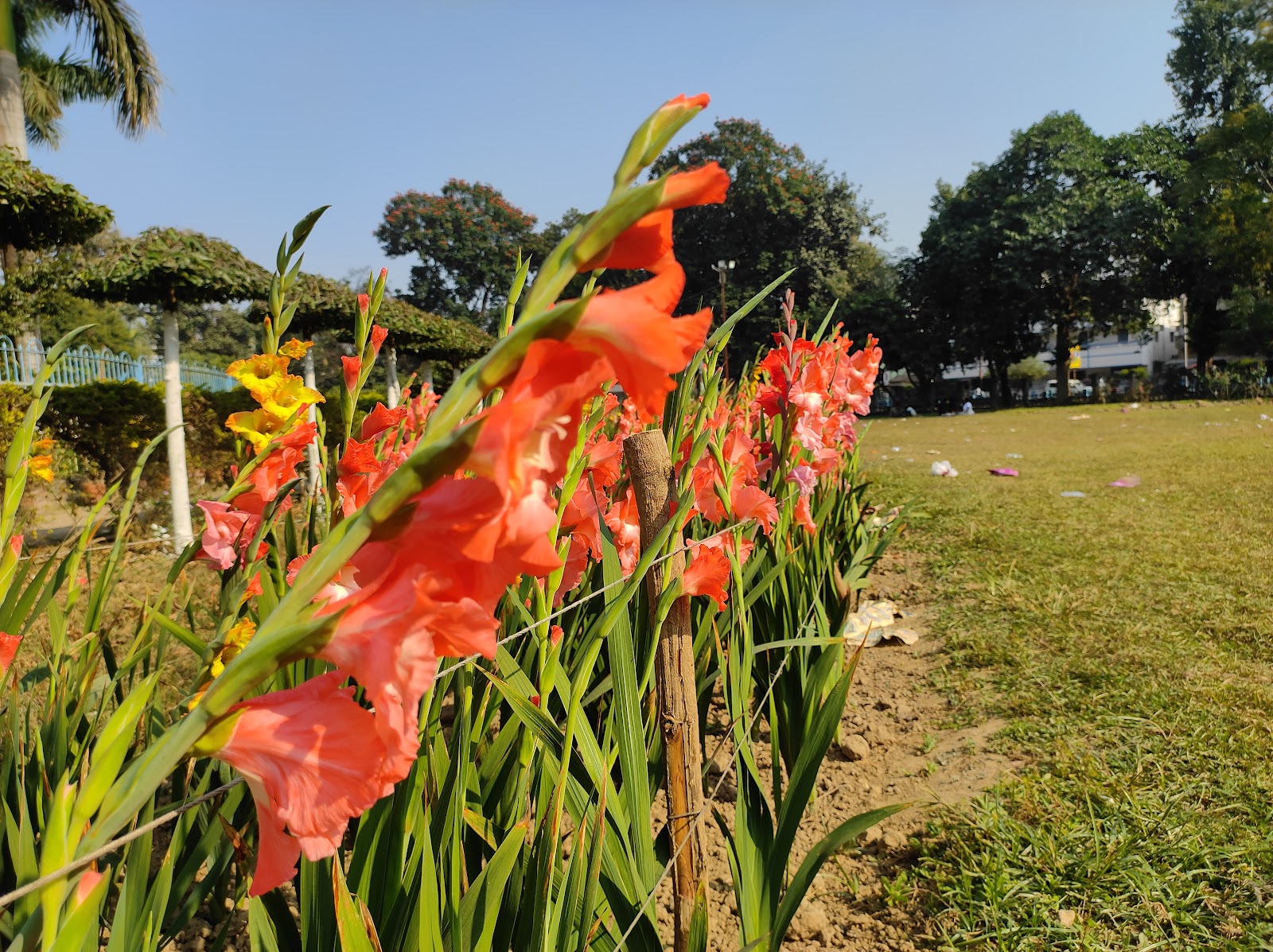 Bidhannagar Central Park
