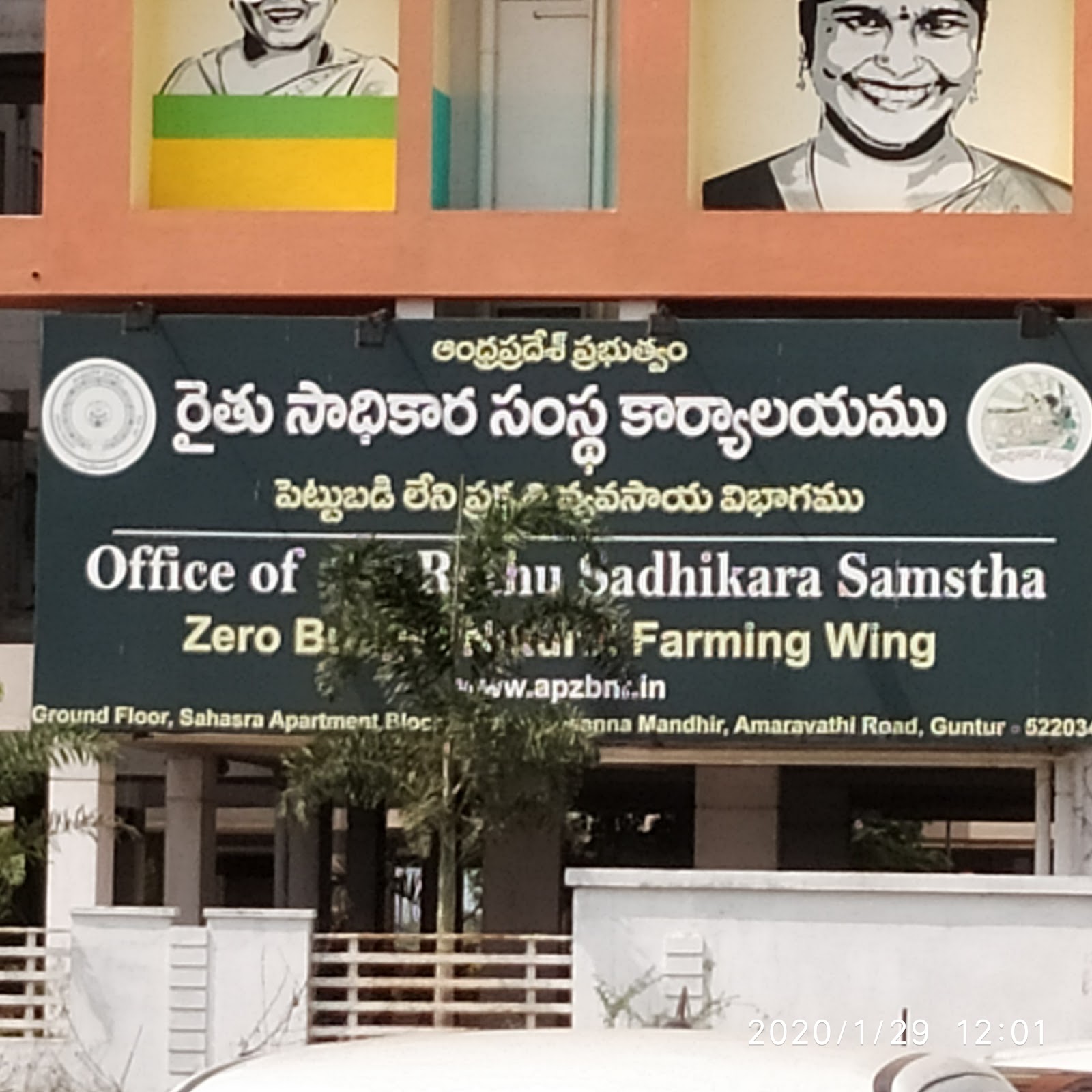 Small Scale Agriculture Fields