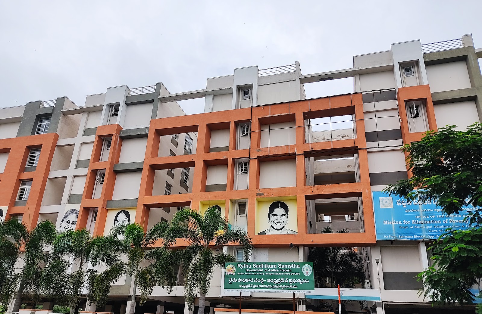 Small Scale Agriculture Fields