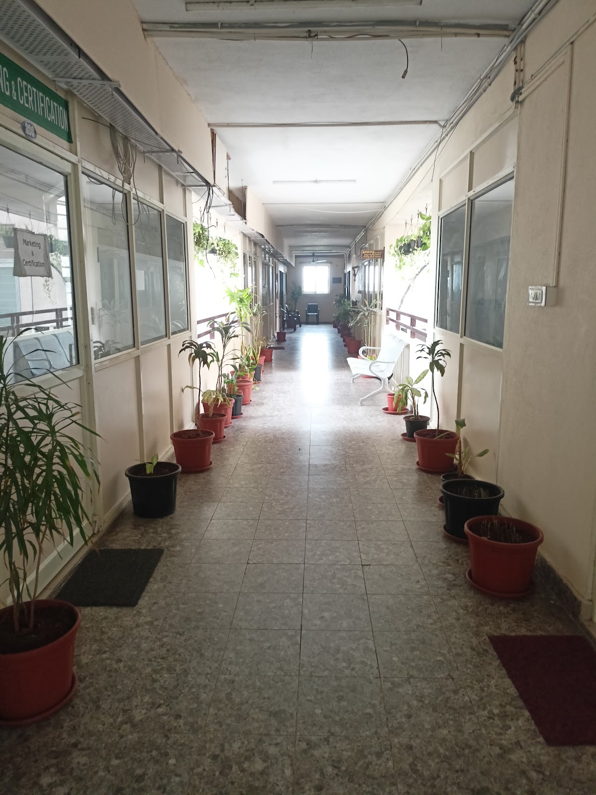 Small Scale Agriculture Fields