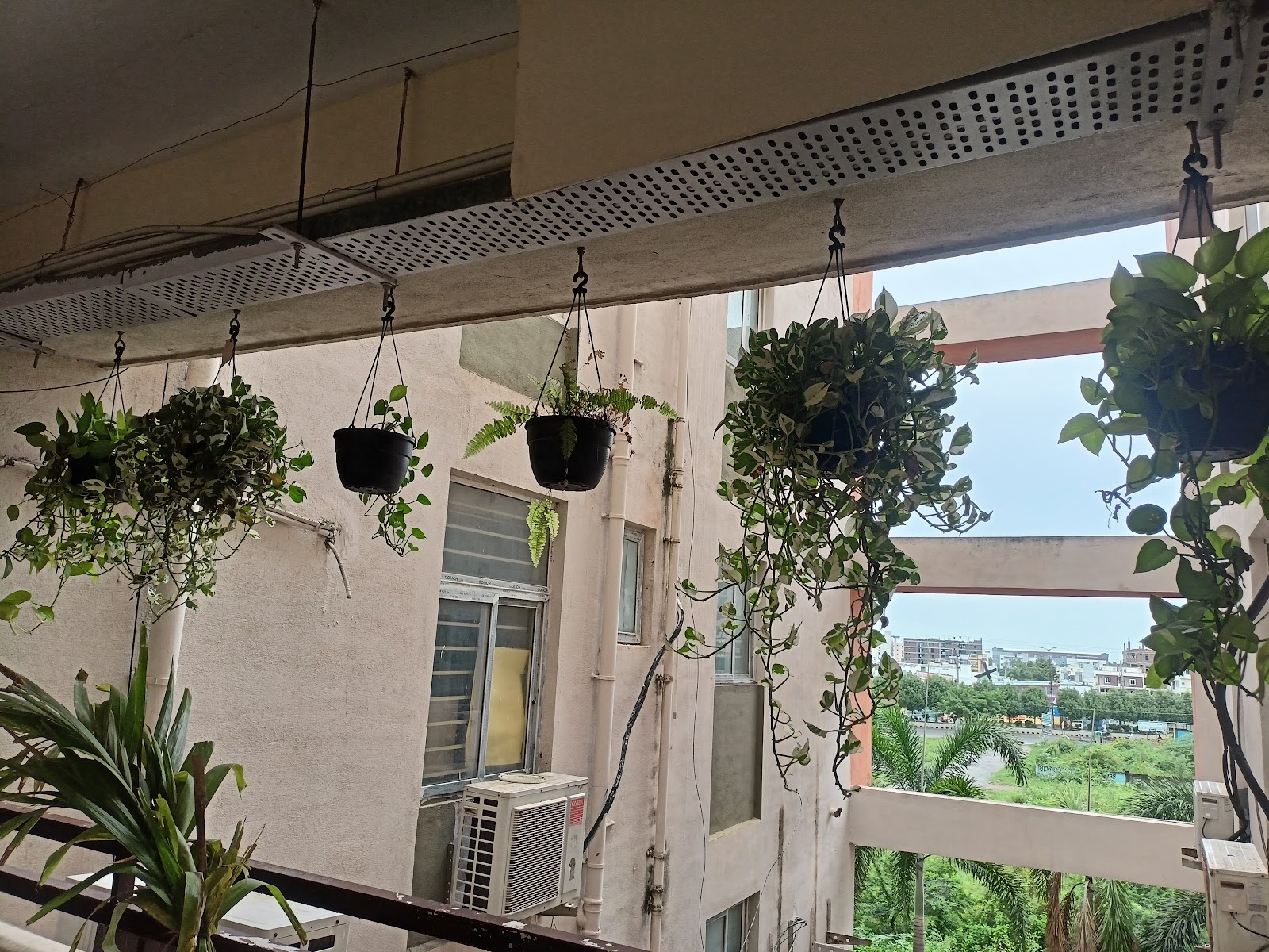 Small Scale Agriculture Fields