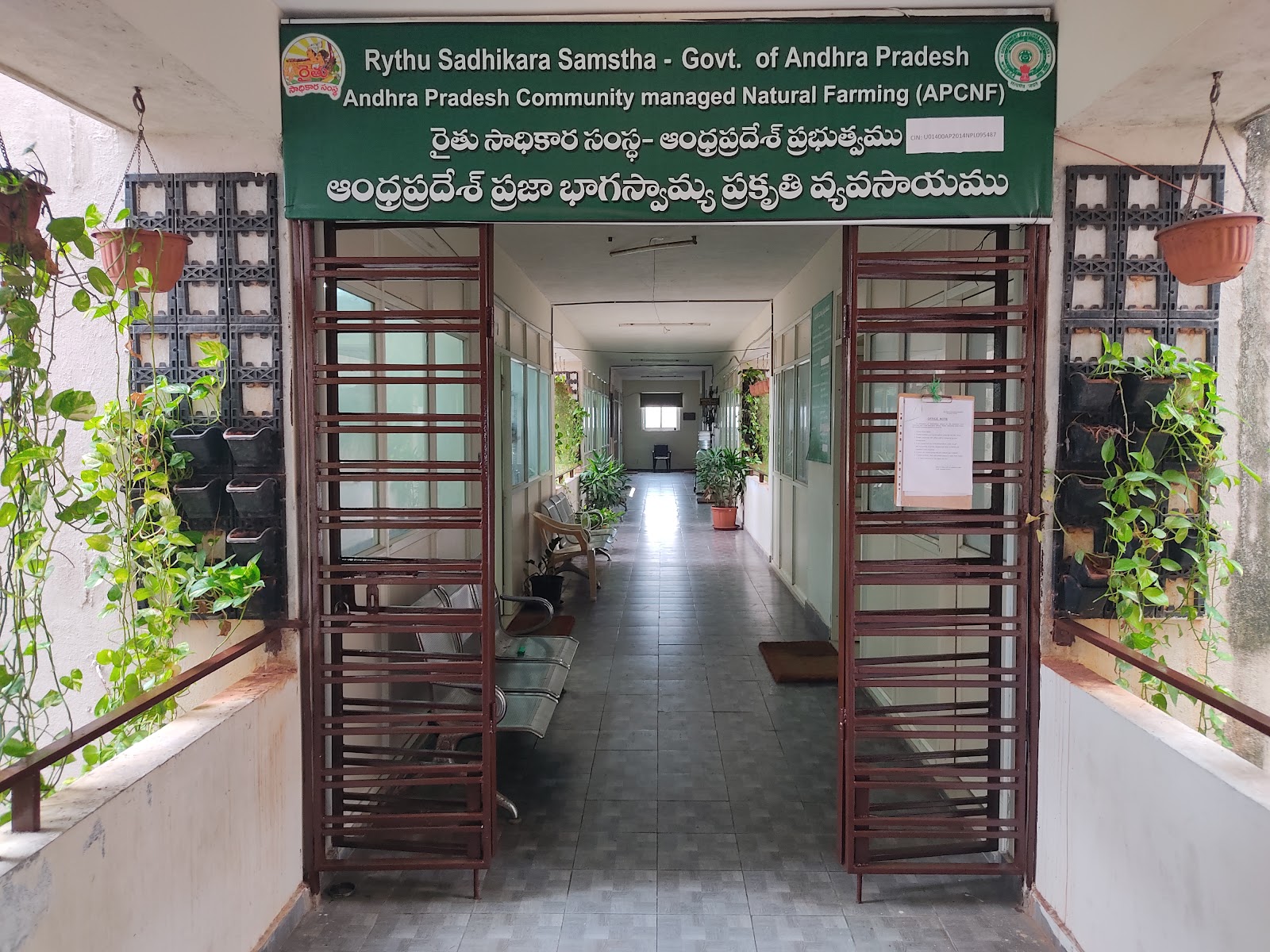 Small Scale Agriculture Fields