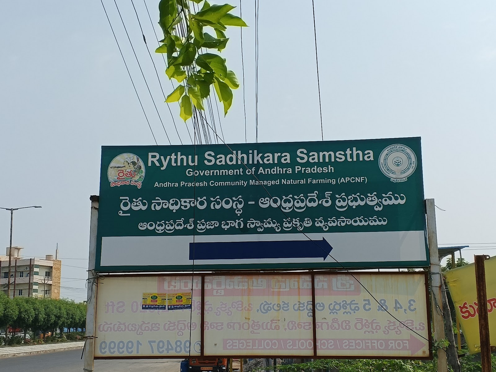 Small Scale Agriculture Fields