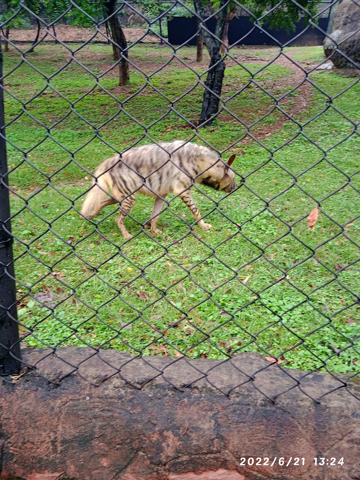 Indira Gandhi Zoological Park