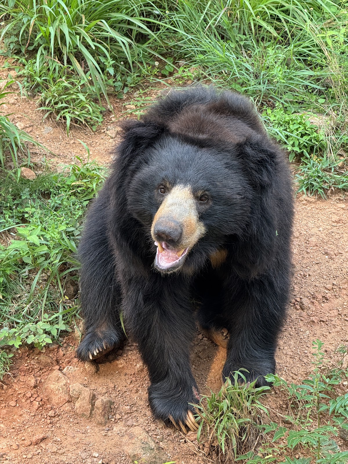 Indira Gandhi Zoological Park