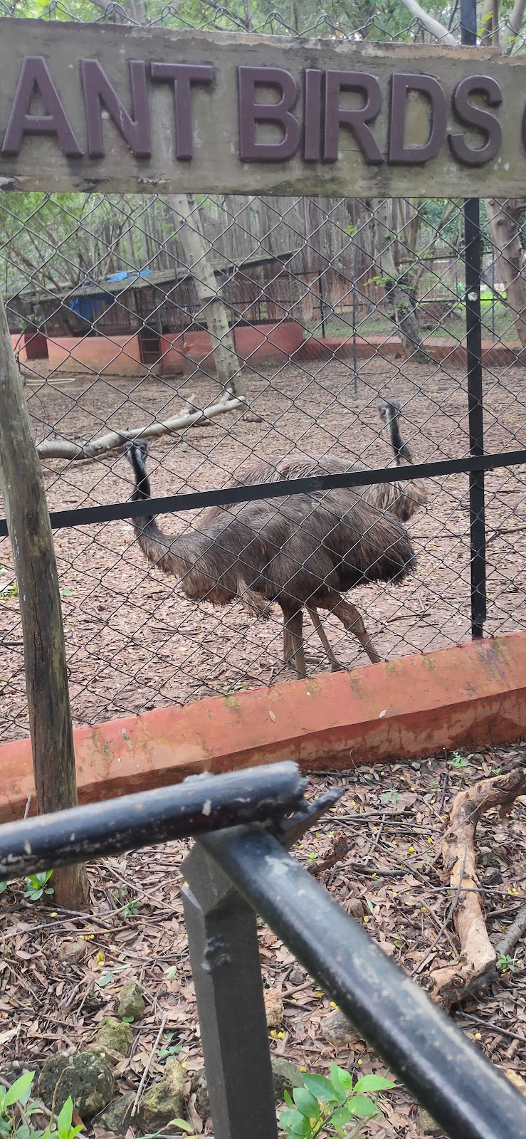 Indira Gandhi Zoological Park