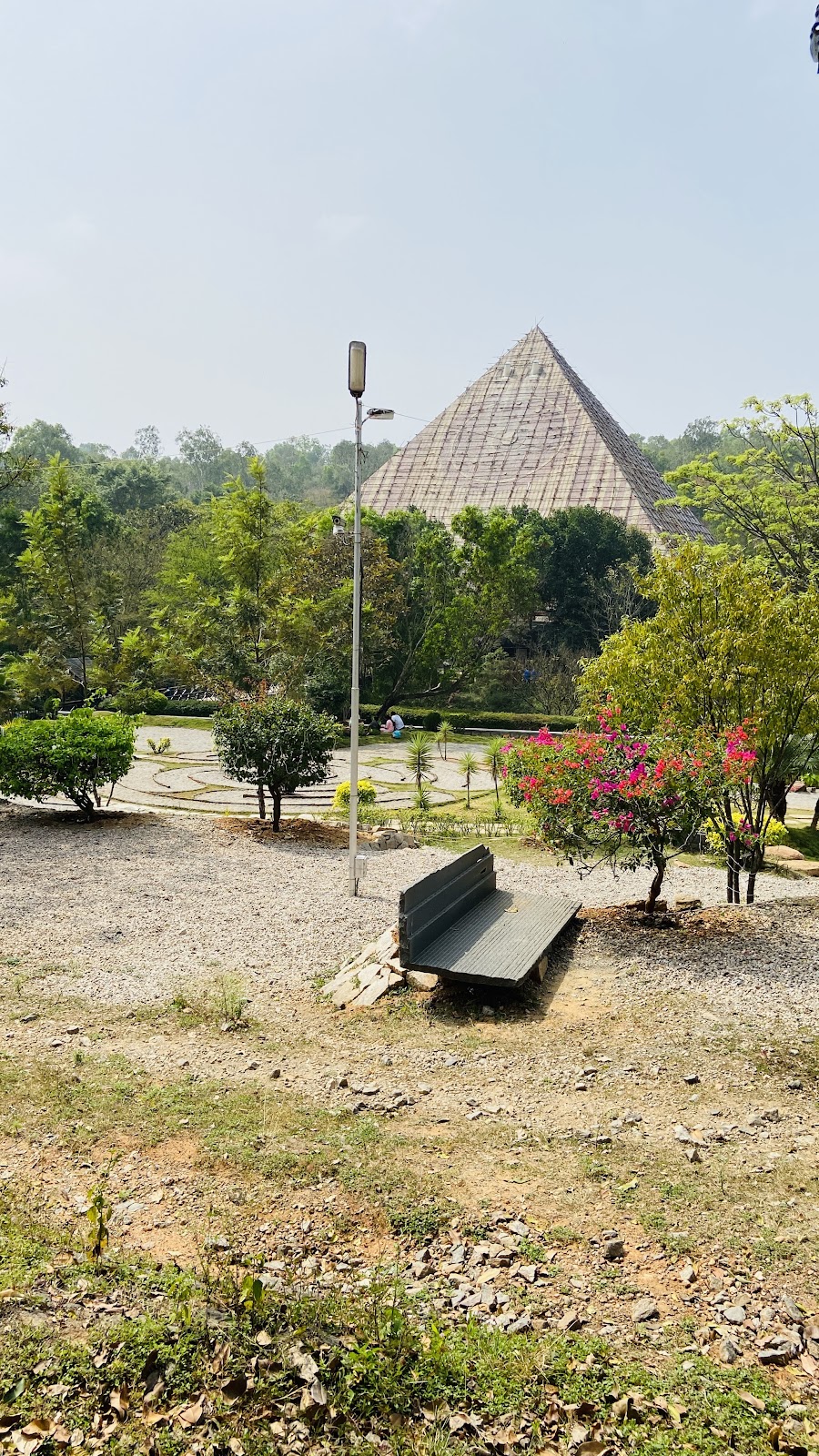 Pyramid Valley International