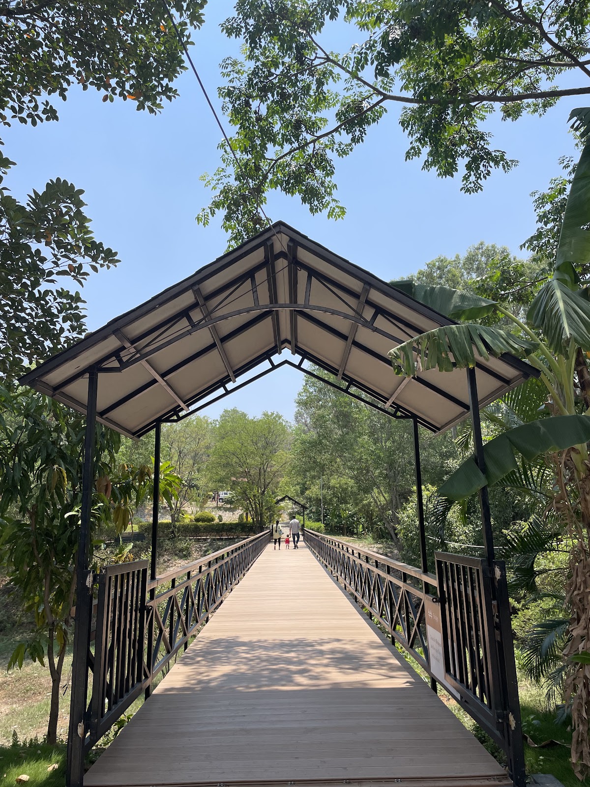 Pyramid Valley International