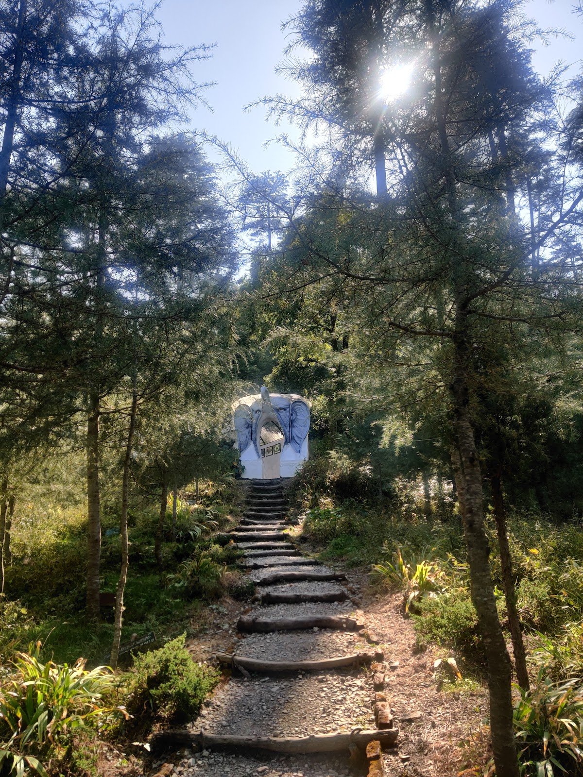 Dhanaulti Eco Park