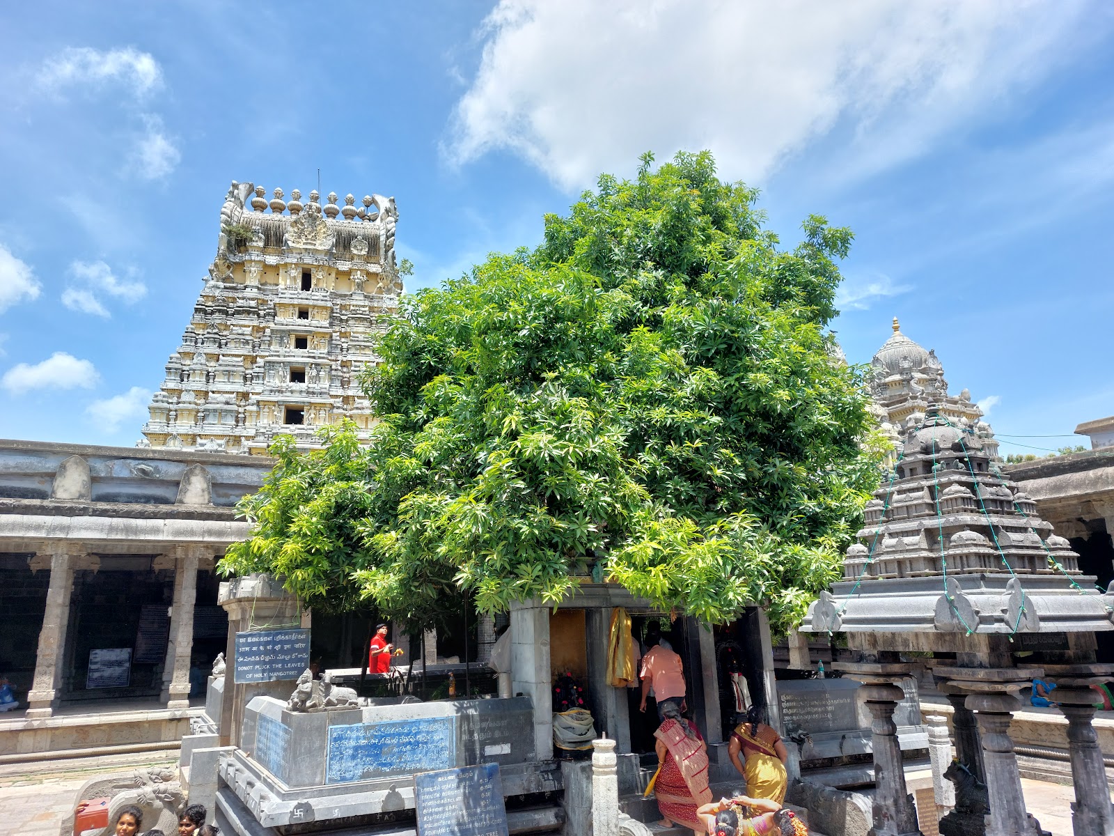 Ekambareswarar Temple