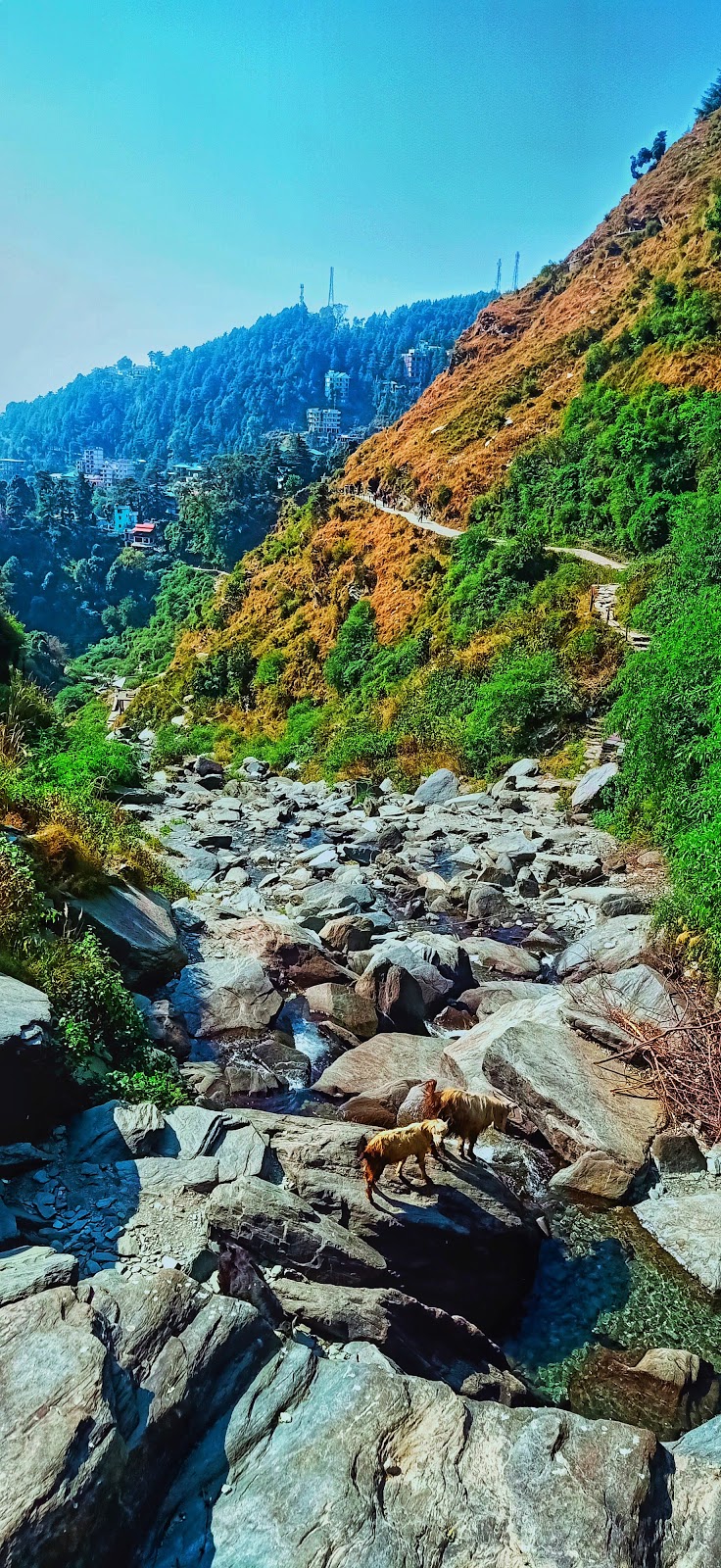 Kangra Art Museum - Explore the Rich Heritage of Himachal Pradesh