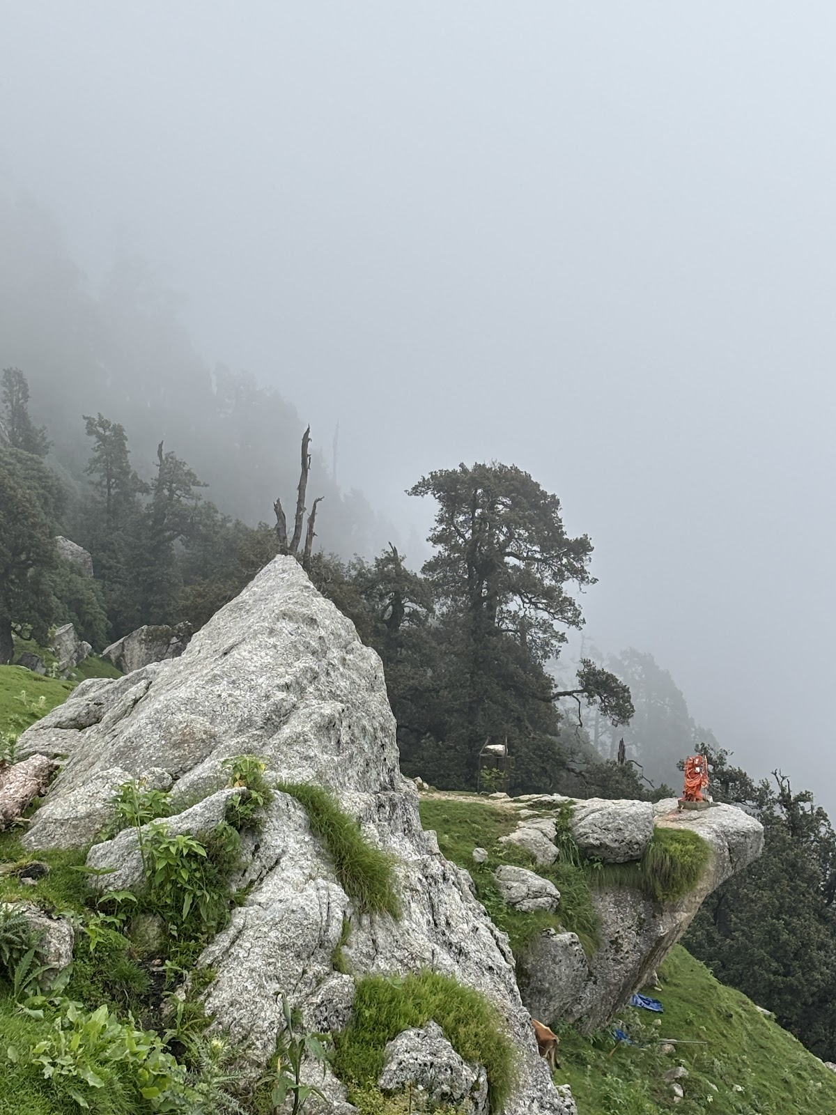 Triund Hill