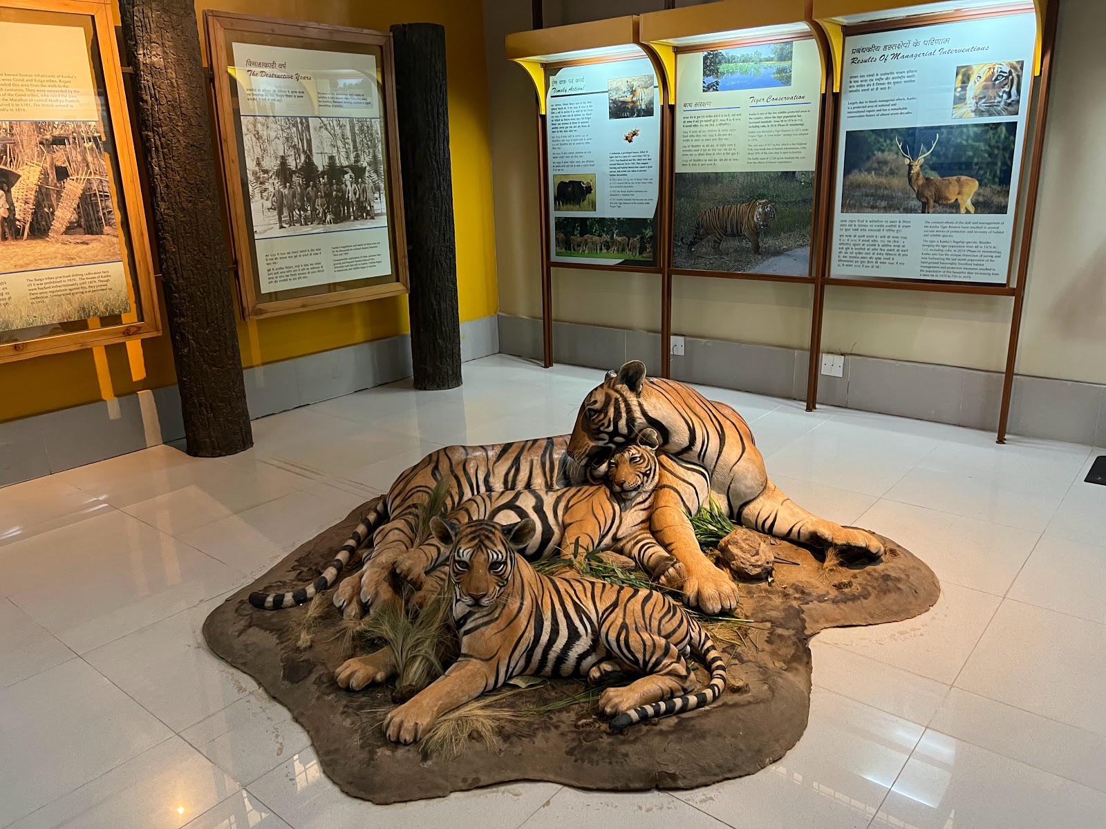 Kanha Museum