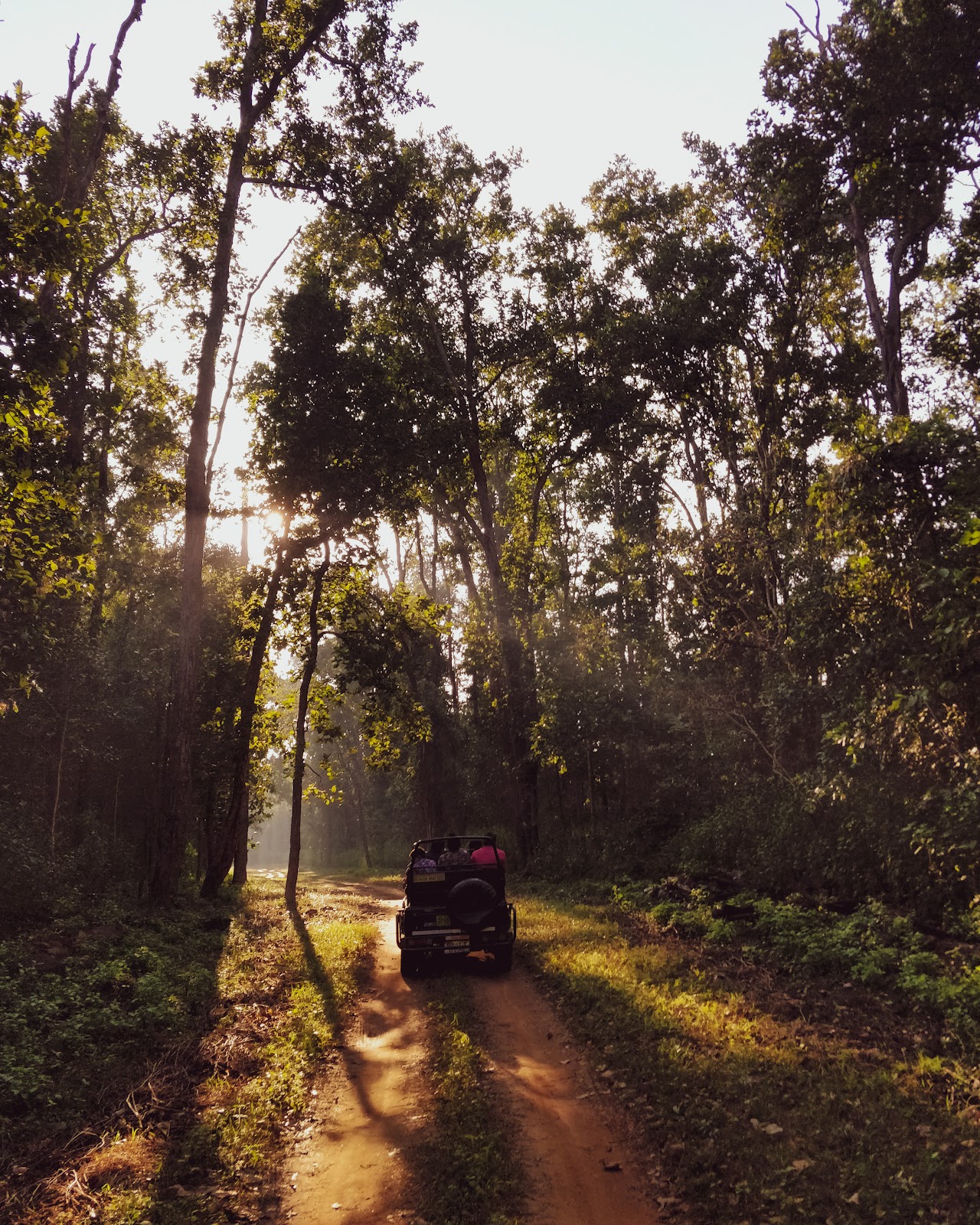 Kanha National Park