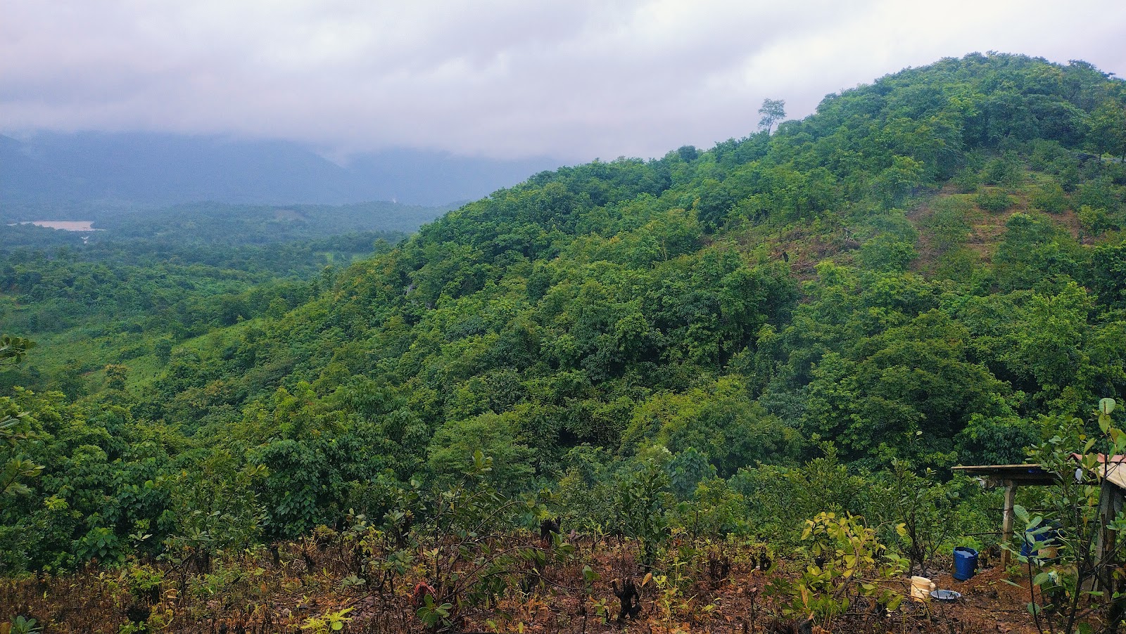 Tilari Dam Reservoir