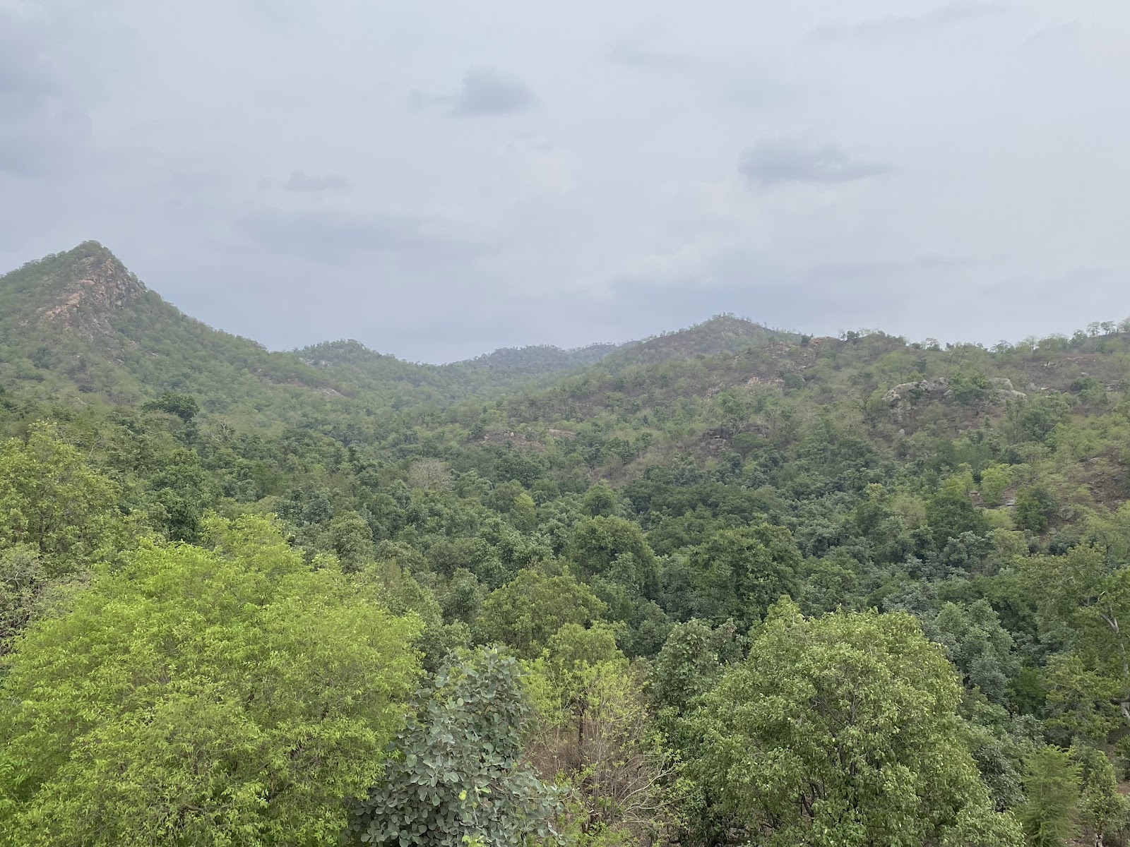 Balaram Ambaji Wildlife Sanctuary