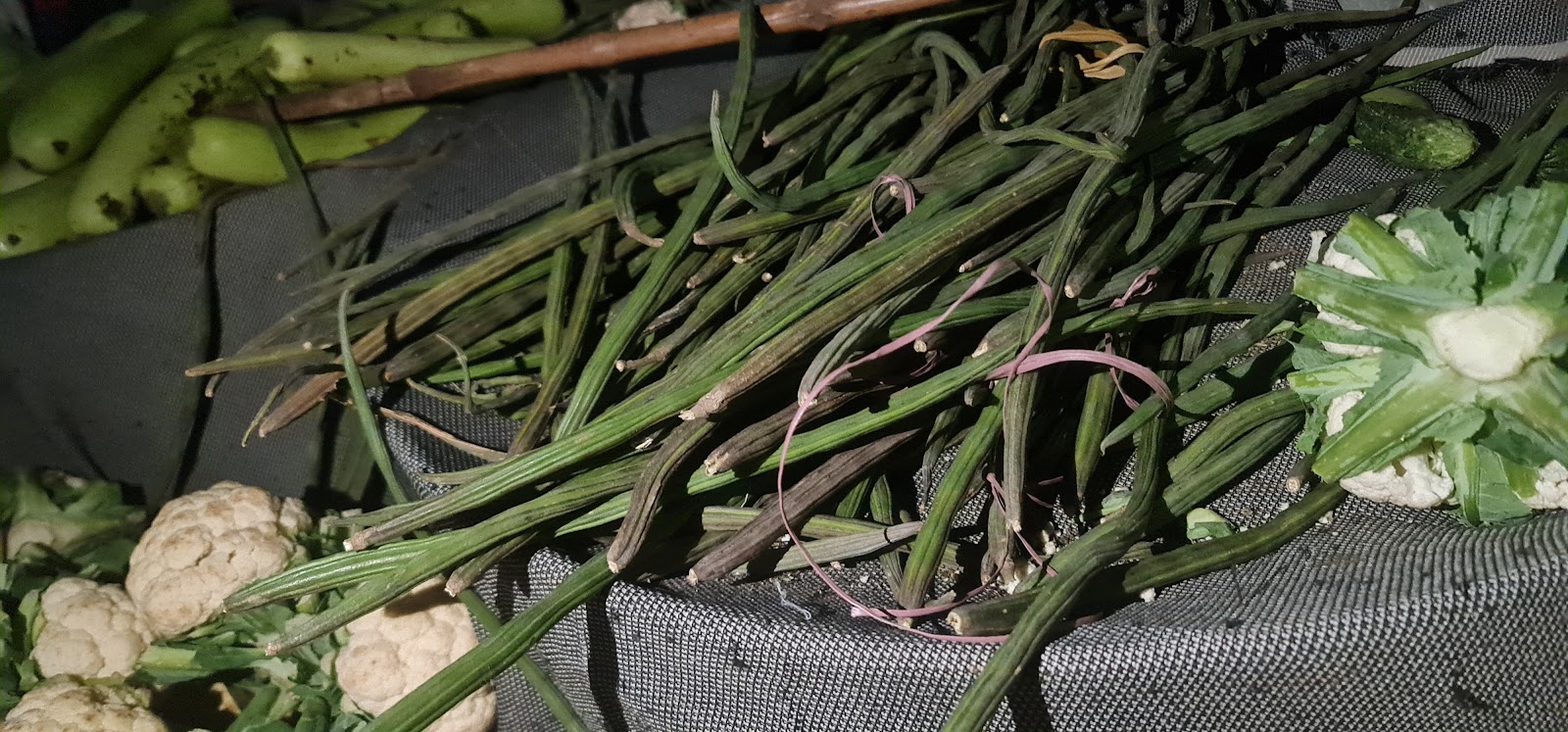 Weekly Market Ground