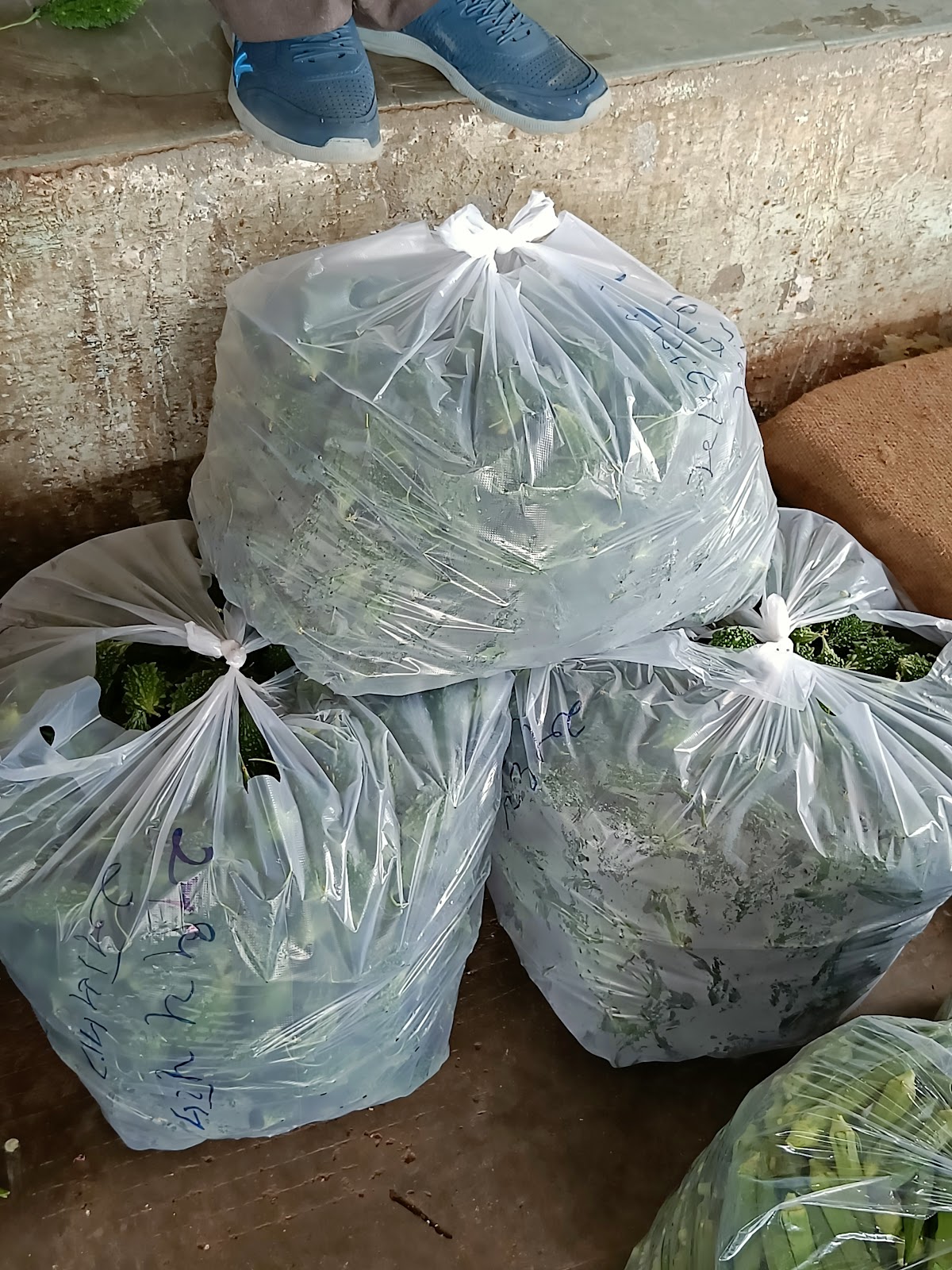 Weekly Market Ground