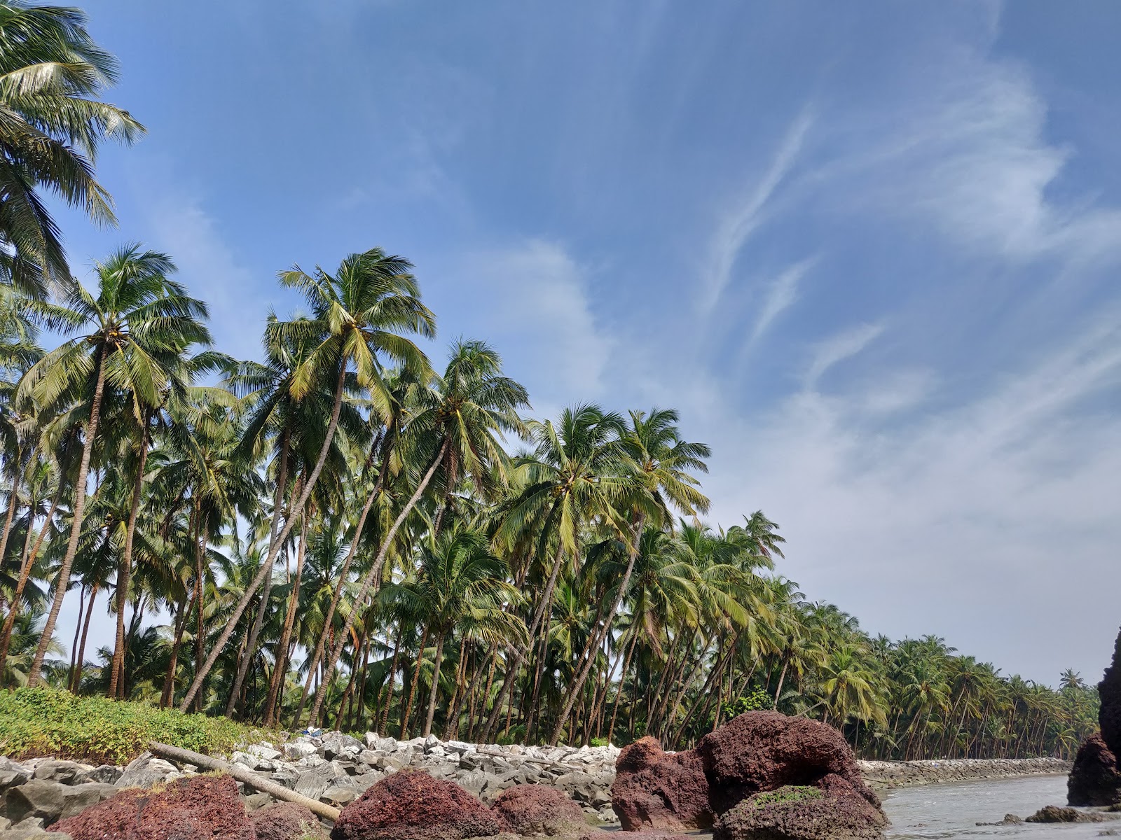 Dharmadam Island