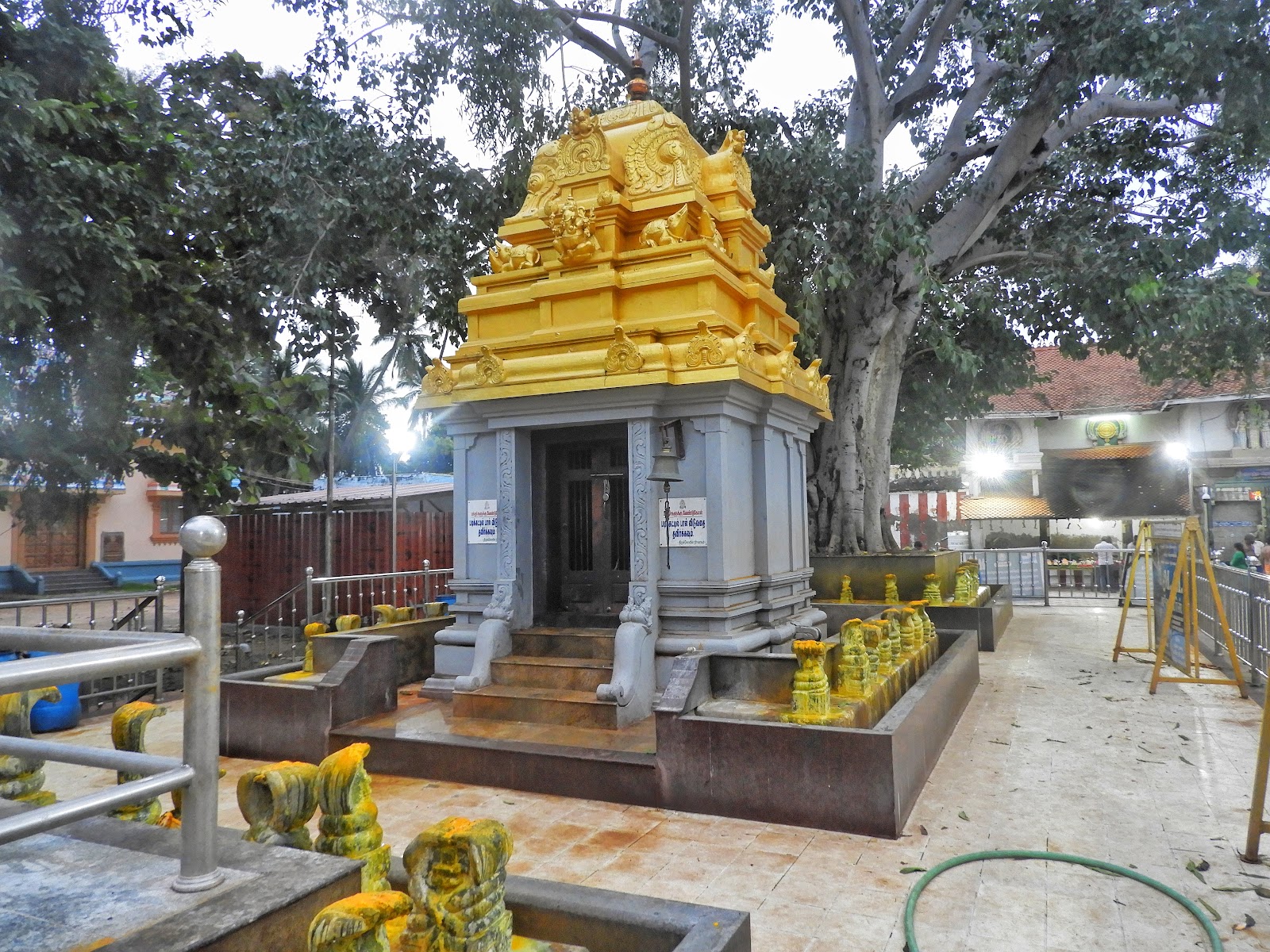 Nagaraja Temple