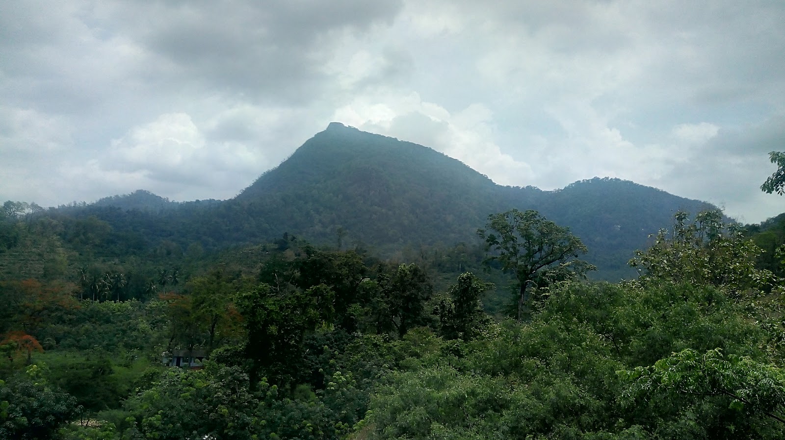 Kanyakumari Wildlife Sanctuary - Kanyakumari, Tamilnadu