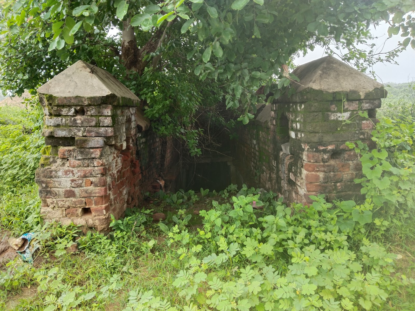 Ancient Stepwell of Kapadvanj