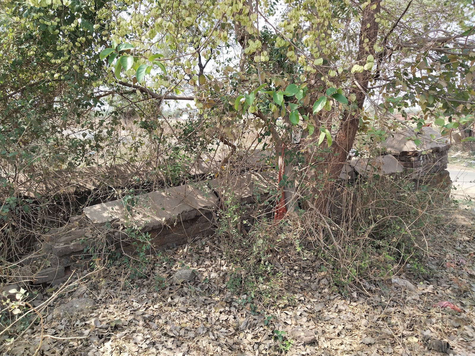 Ancient Stepwell of Kapadvanj