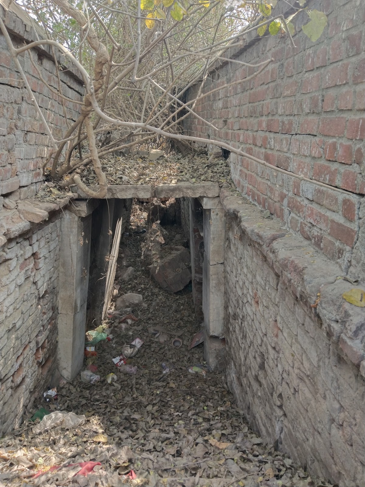 Ancient Stepwell of Kapadvanj