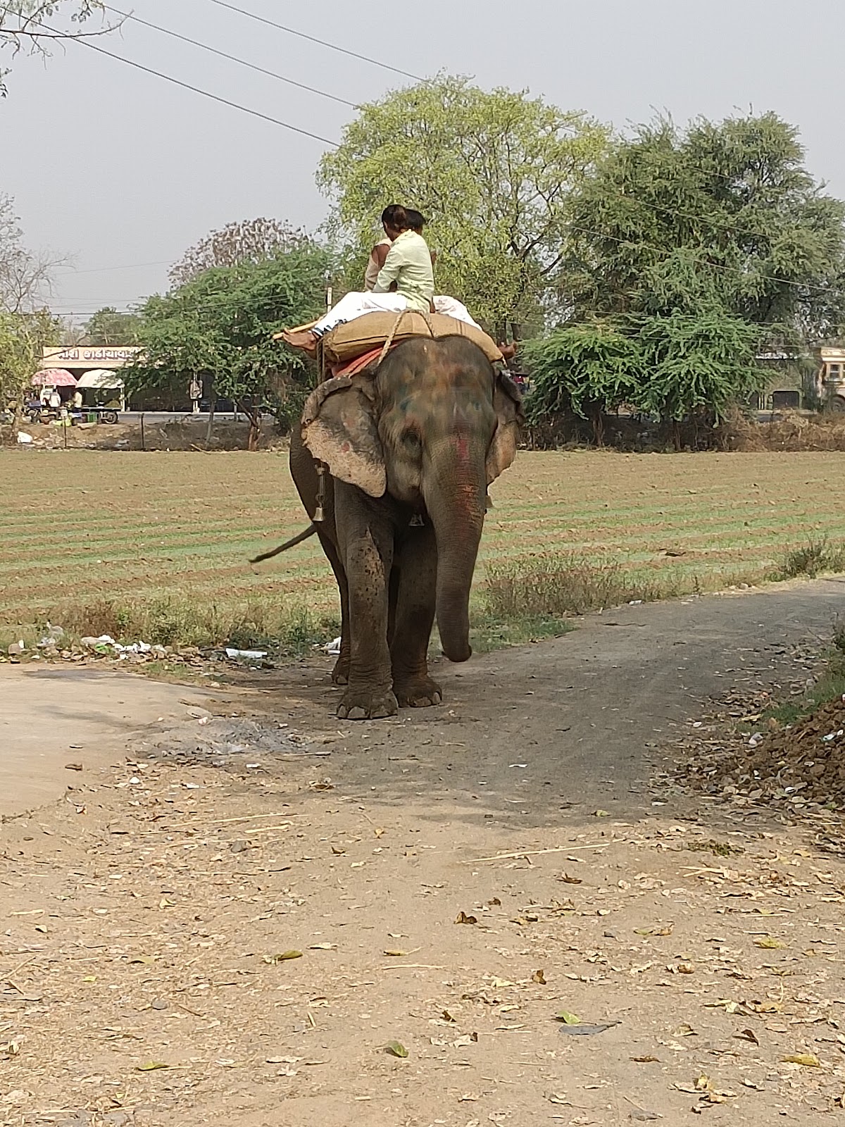Kapadvanj Old Market