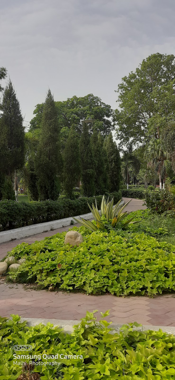 Nehru Garden