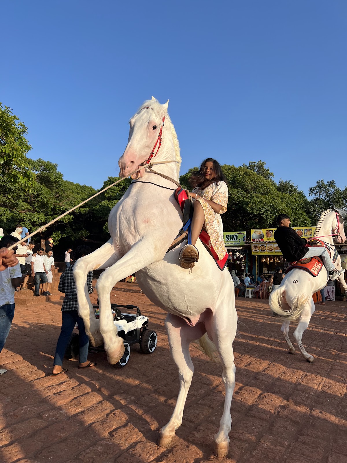 Koyna Wildlife Sanctuary