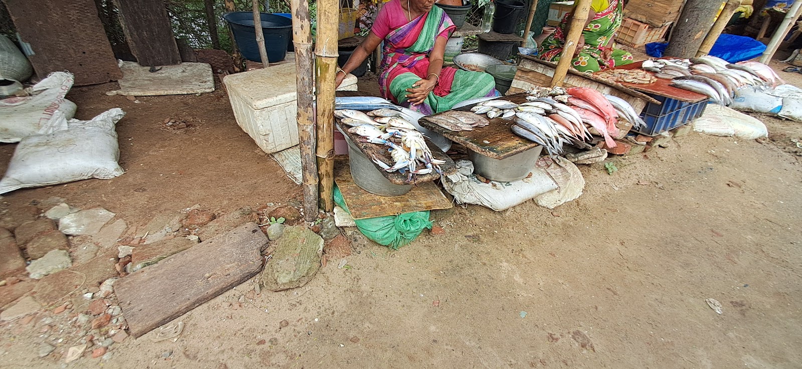 Local Fish Market Karaikal