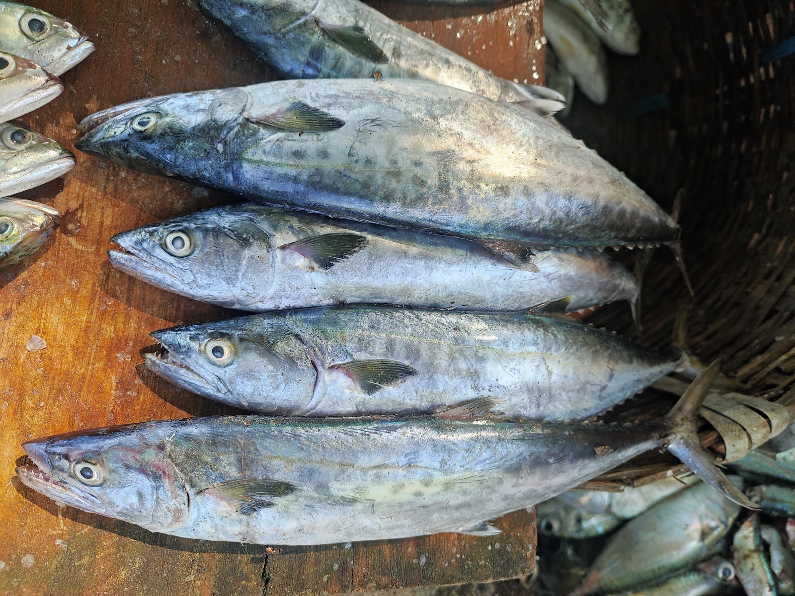 Local Fish Market Karaikal