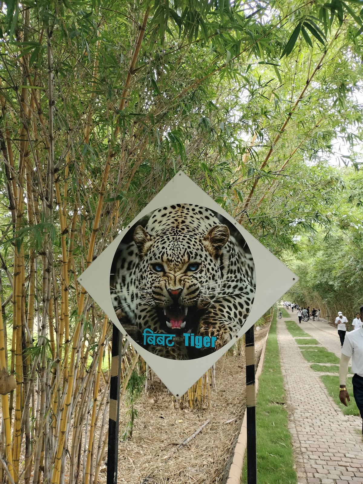 Community Garden and Park