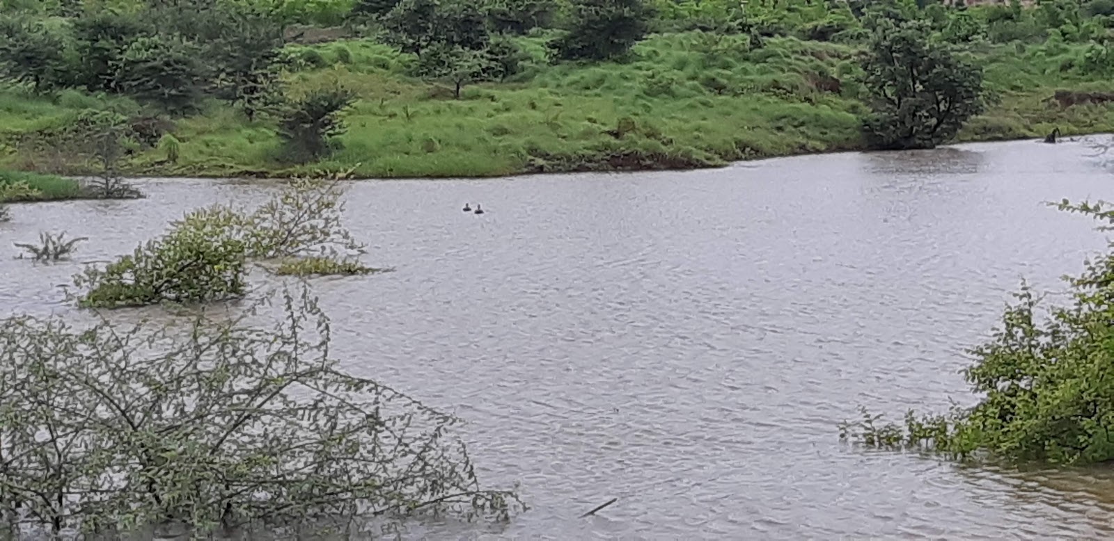 Community Garden and Park