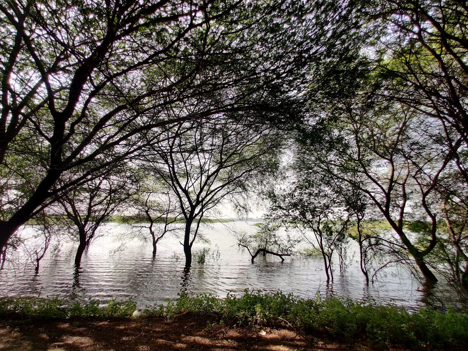 Karanja Lake