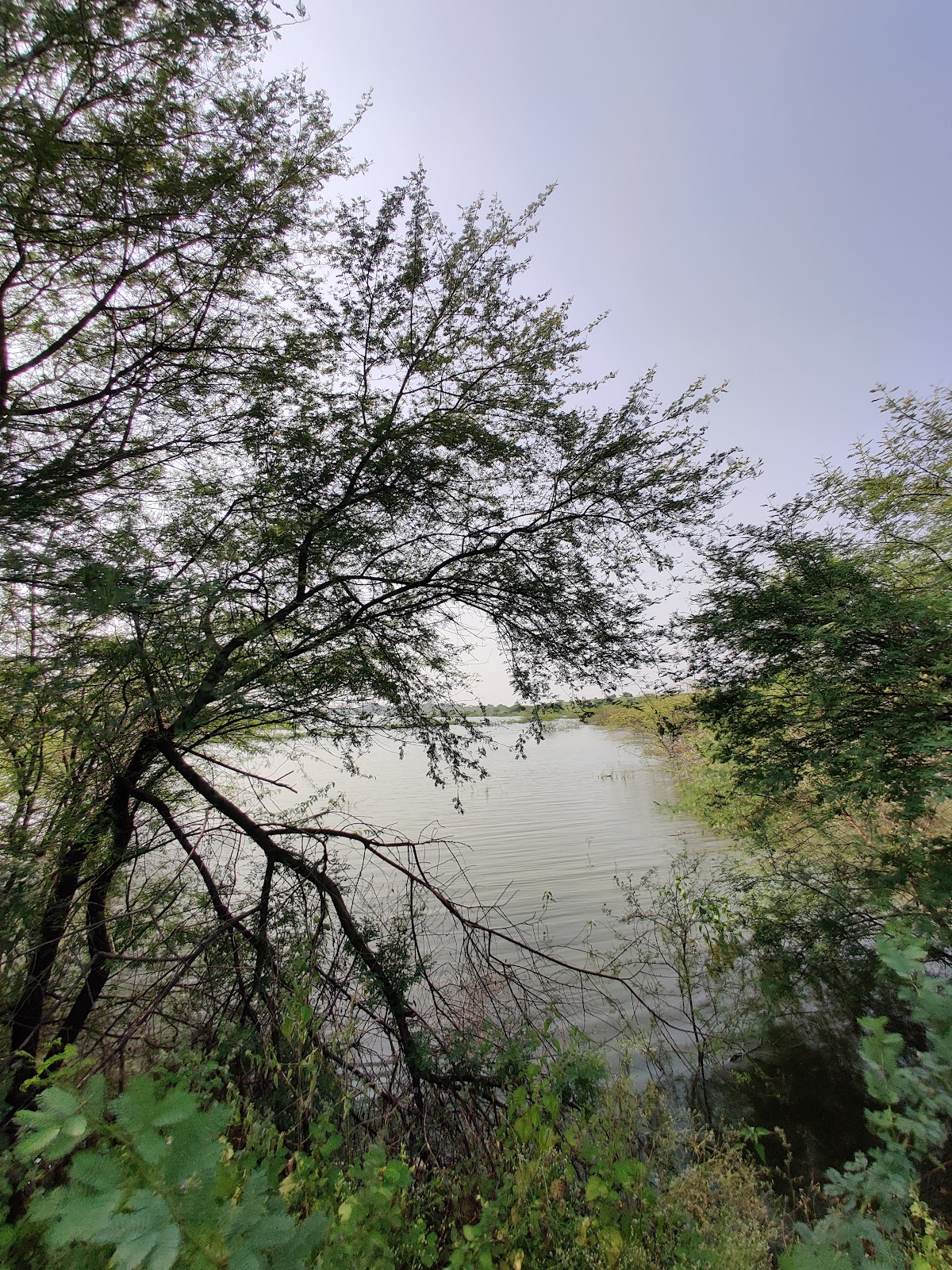 Karanja Lake