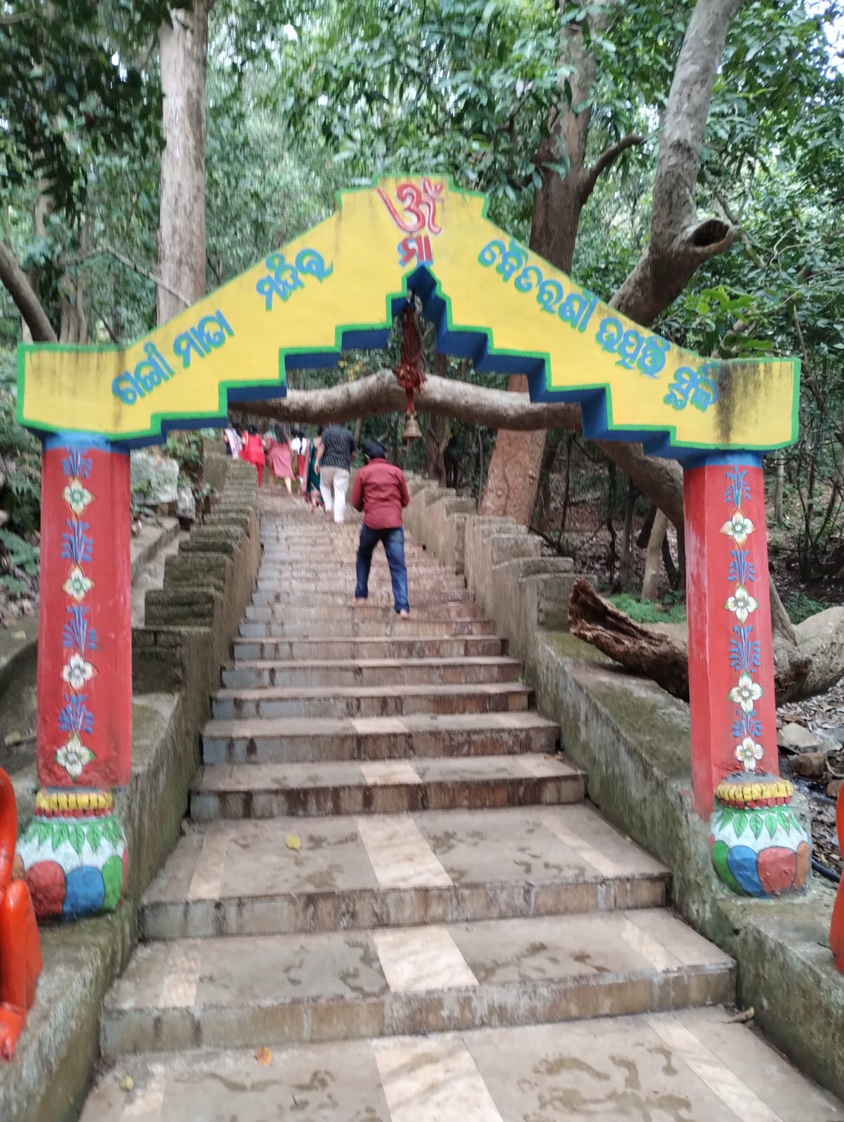 Gonasika Peak and Source of Budhabalanga