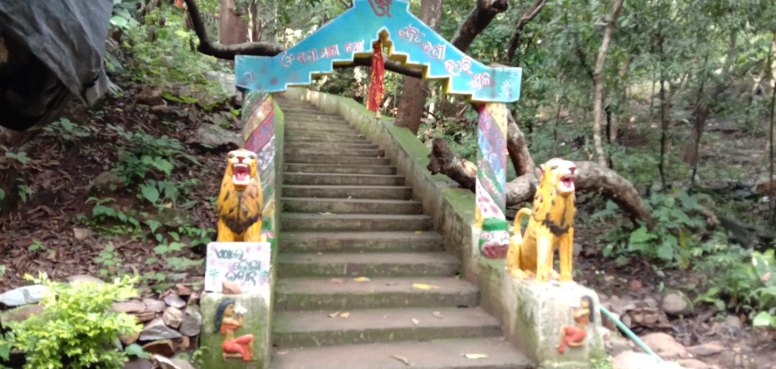 Gonasika Peak and Source of Budhabalanga