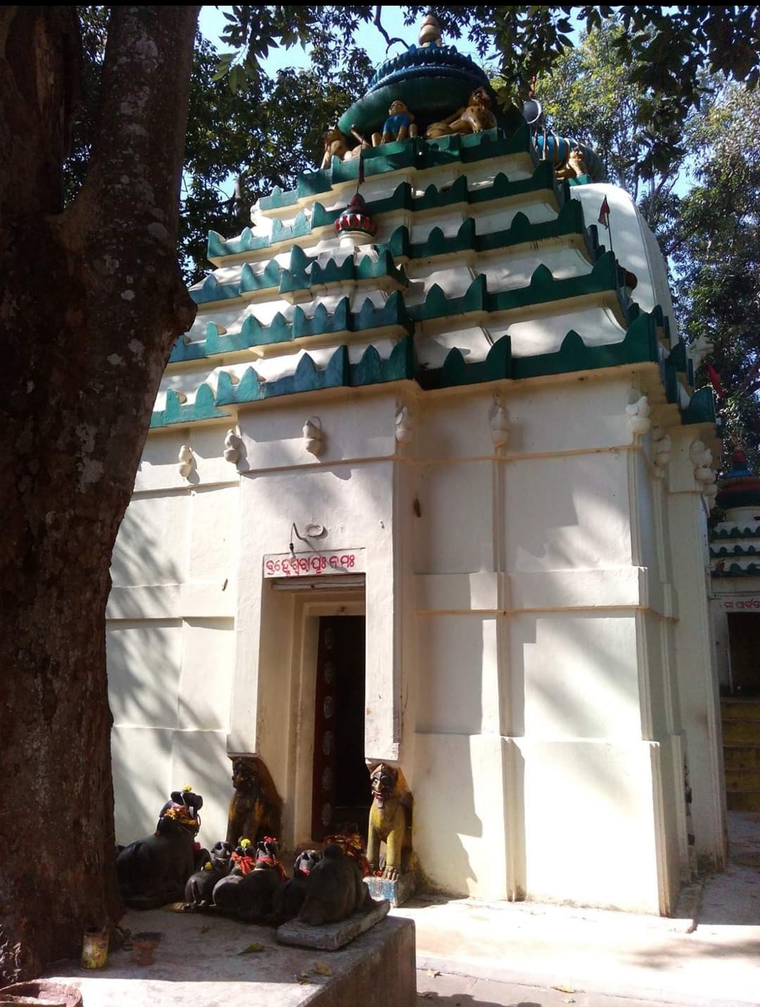 Gonasika Peak and Source of Budhabalanga