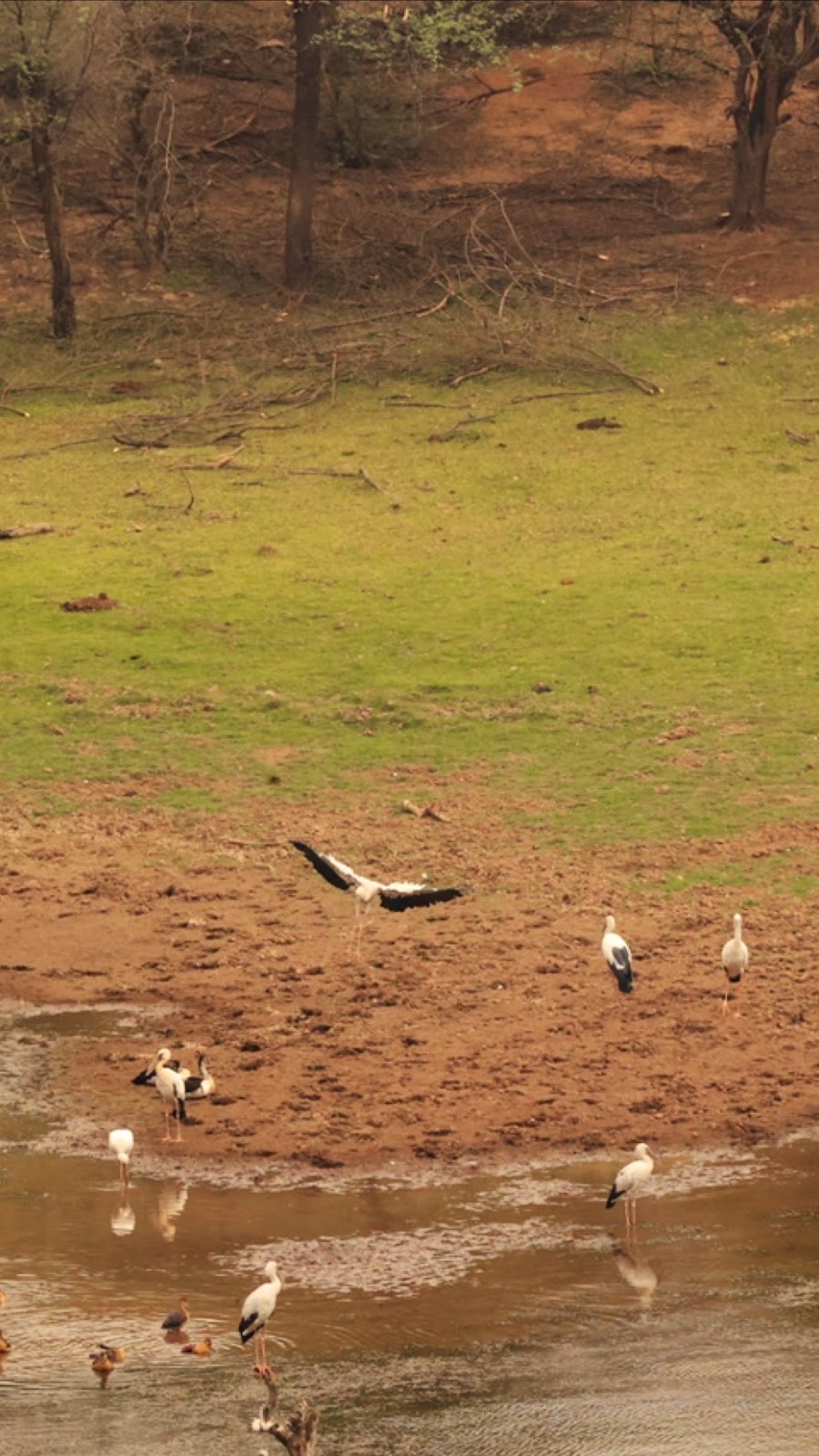Karauli Wildlife Sanctuary