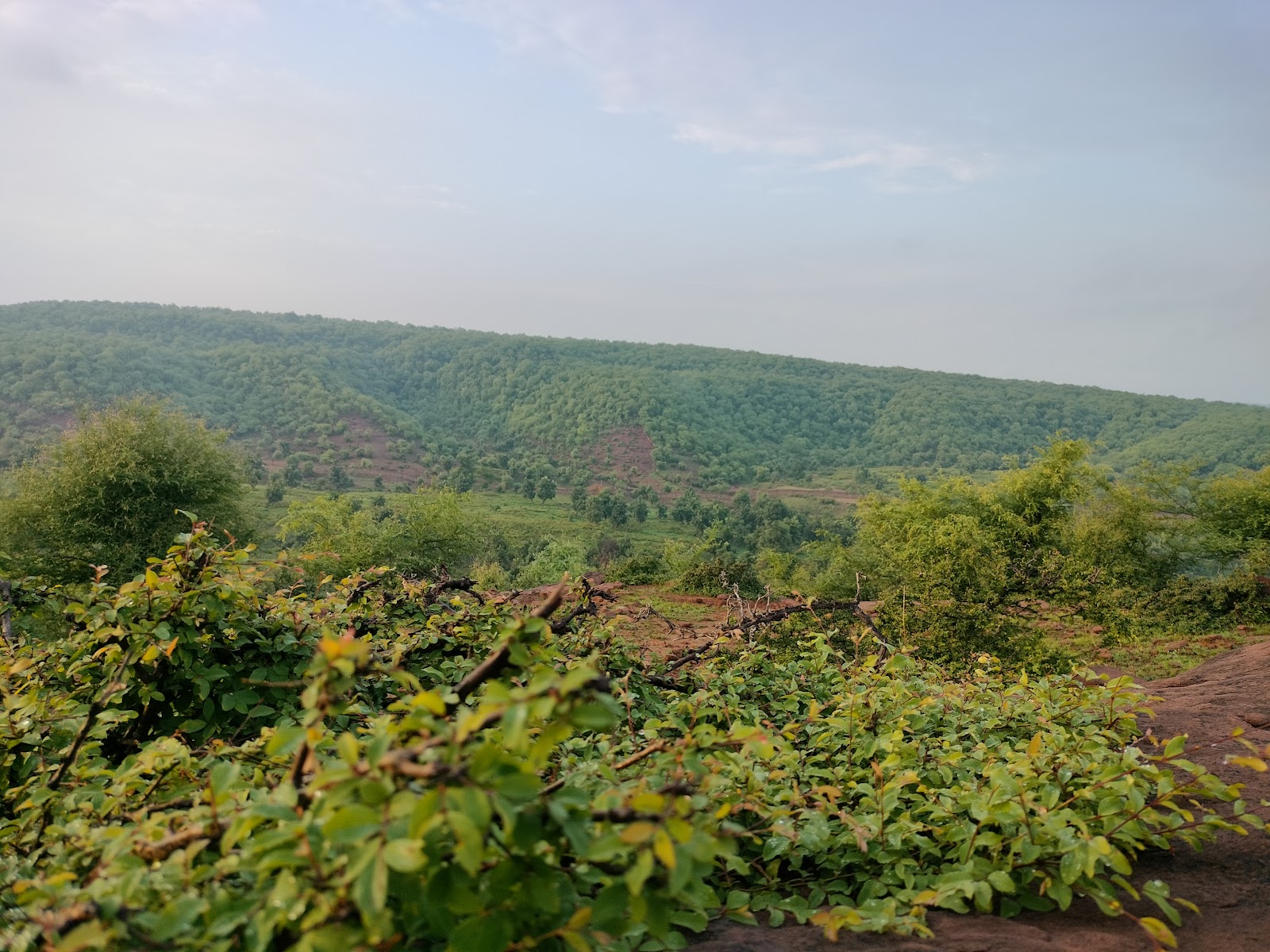 Karauli Wildlife Sanctuary