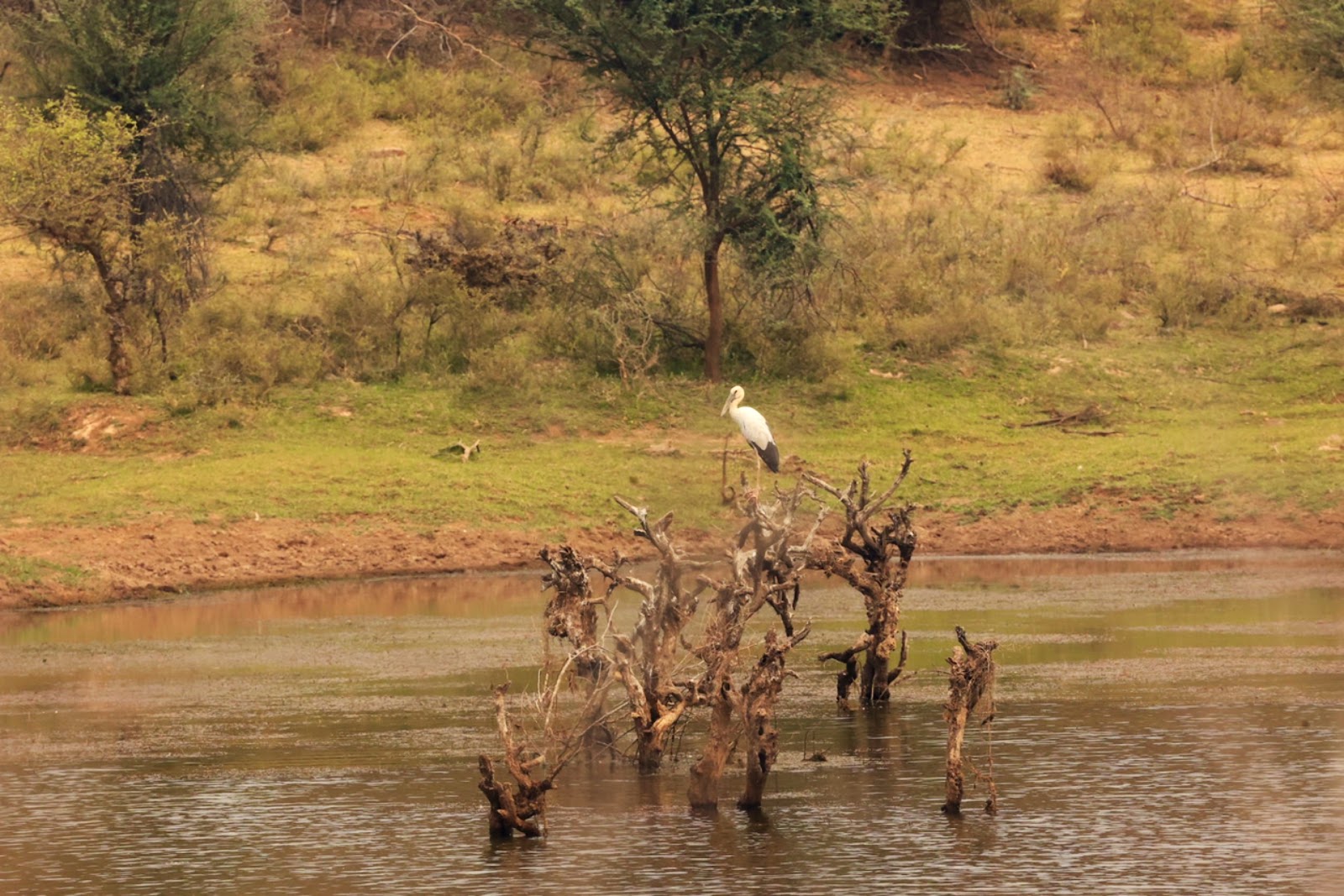 Karauli Wildlife Sanctuary