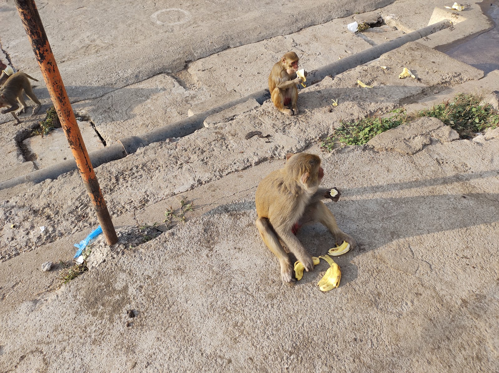 Kondagattu Anjaneya Swamy Temple