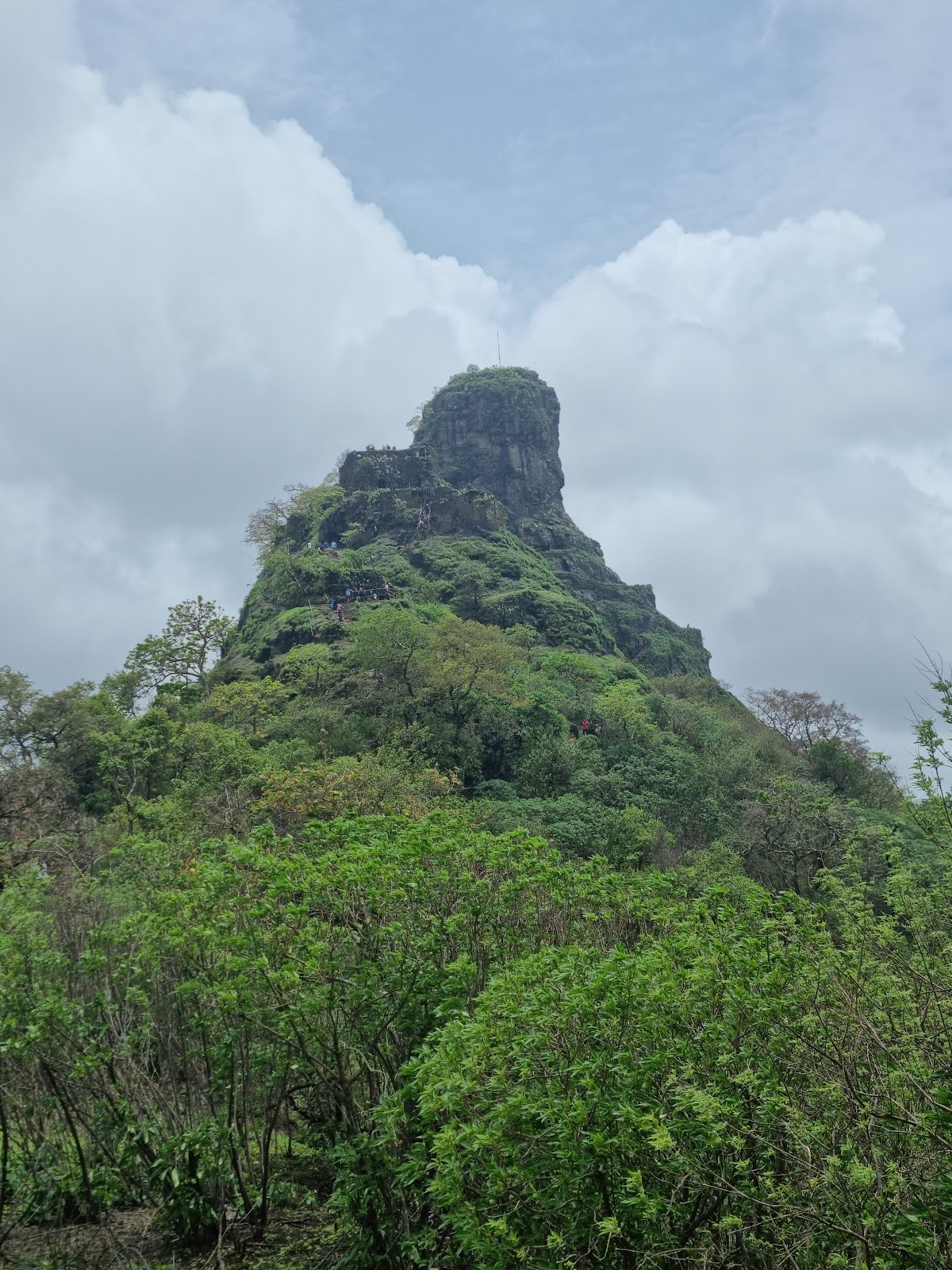 Karnala Bird Sanctuary