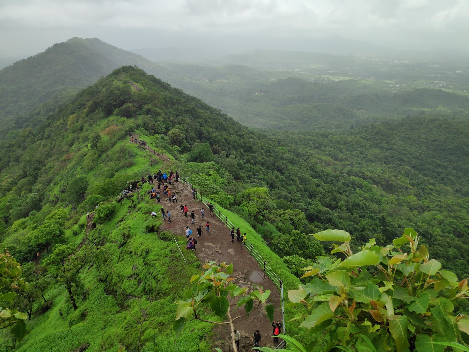 Karnala Bird Sanctuary